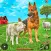Protect My Sheep: Shepherd Dog